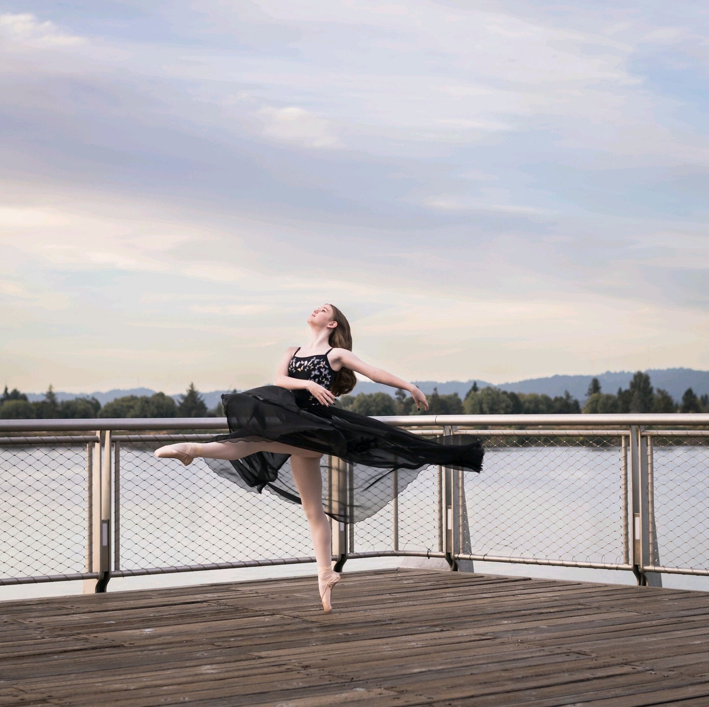 Chiffon Photoshoot Skirt