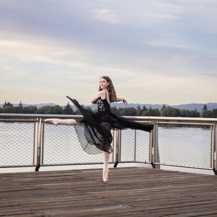 Chiffon Photoshoot Skirt
